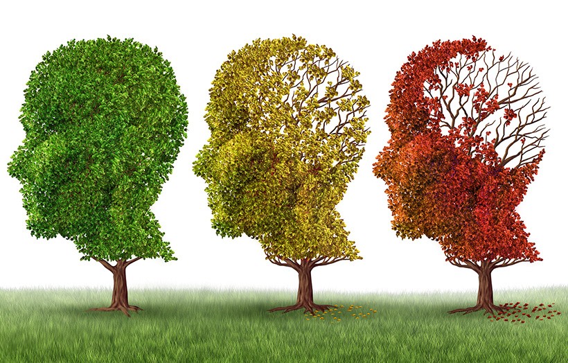 Loss of the judgment