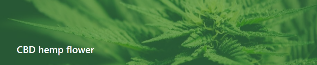 Flor de cáñamo CBD